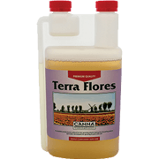 Canna Terra Flores