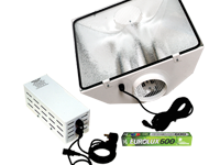Xpert 600W Gold Star Kit