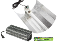 DigiLight 600W Euro kit
