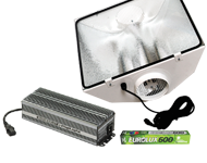 DigiLight 600W Gold Star kit
