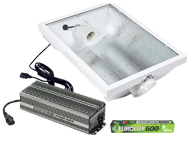 DigiLight 600W Supernova kit