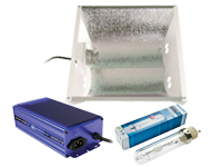 Ceramic Metal Halide