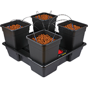 Wilma XL 4 25L
