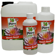 Pant Magic Bloom Boost