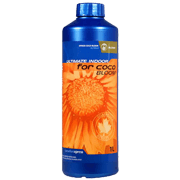 CanadianXpress Ultimate Indoor Coco Bloom