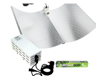 Xpert 600W Avenger Kit