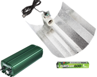 Sunmaster 600W Euro kit