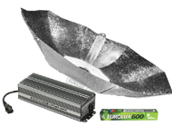 DigiLight Pro 600W Parabolic kit