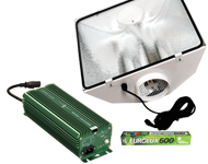 Adjusta-Watt 600W Gold Star kit