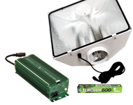 SmartStart 600W Gold Star kit