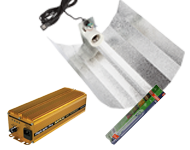 400V Digilight Pro max 600W Euro kit