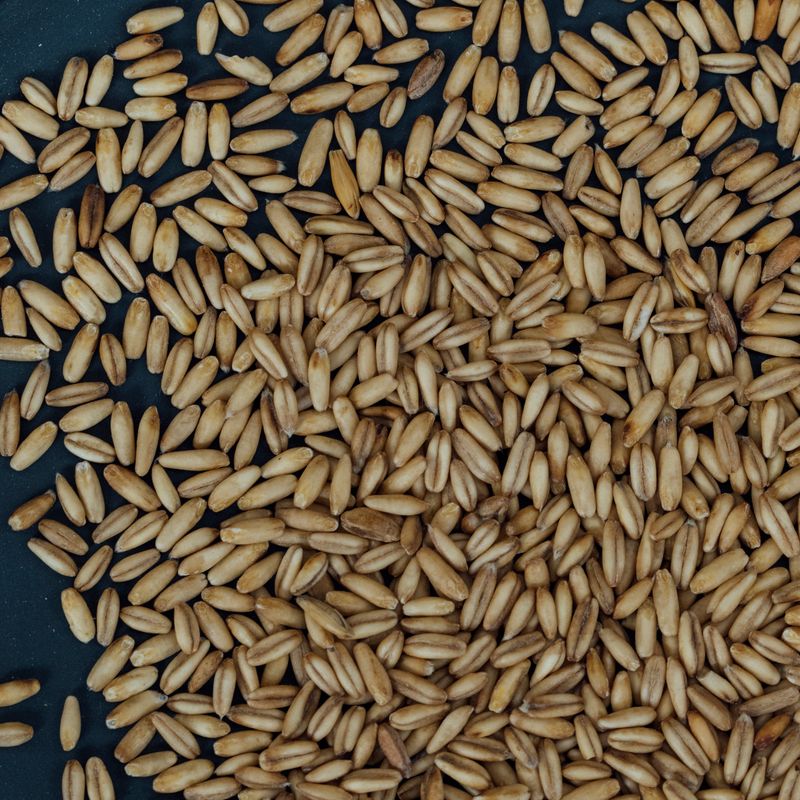 Peeled oats Organic Suisse