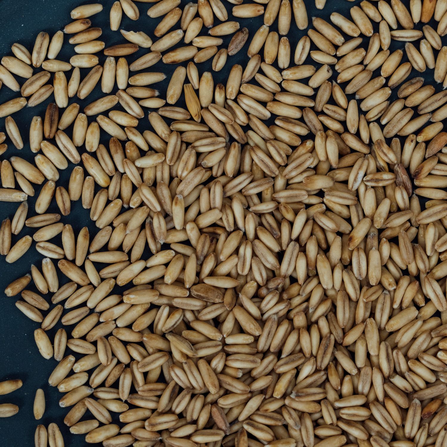 Peeled oats Organic Suisse