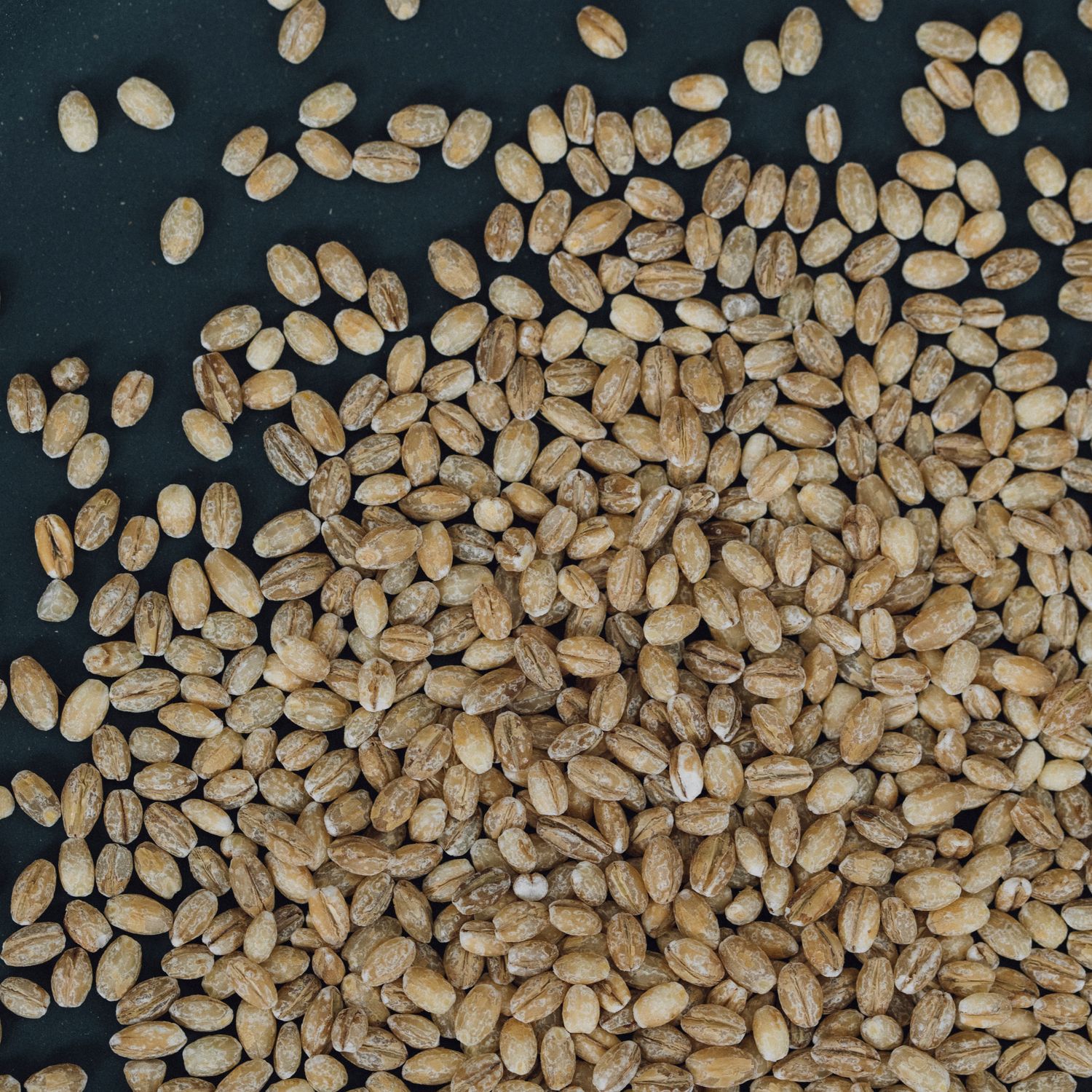 Peeled barley Organic rolled