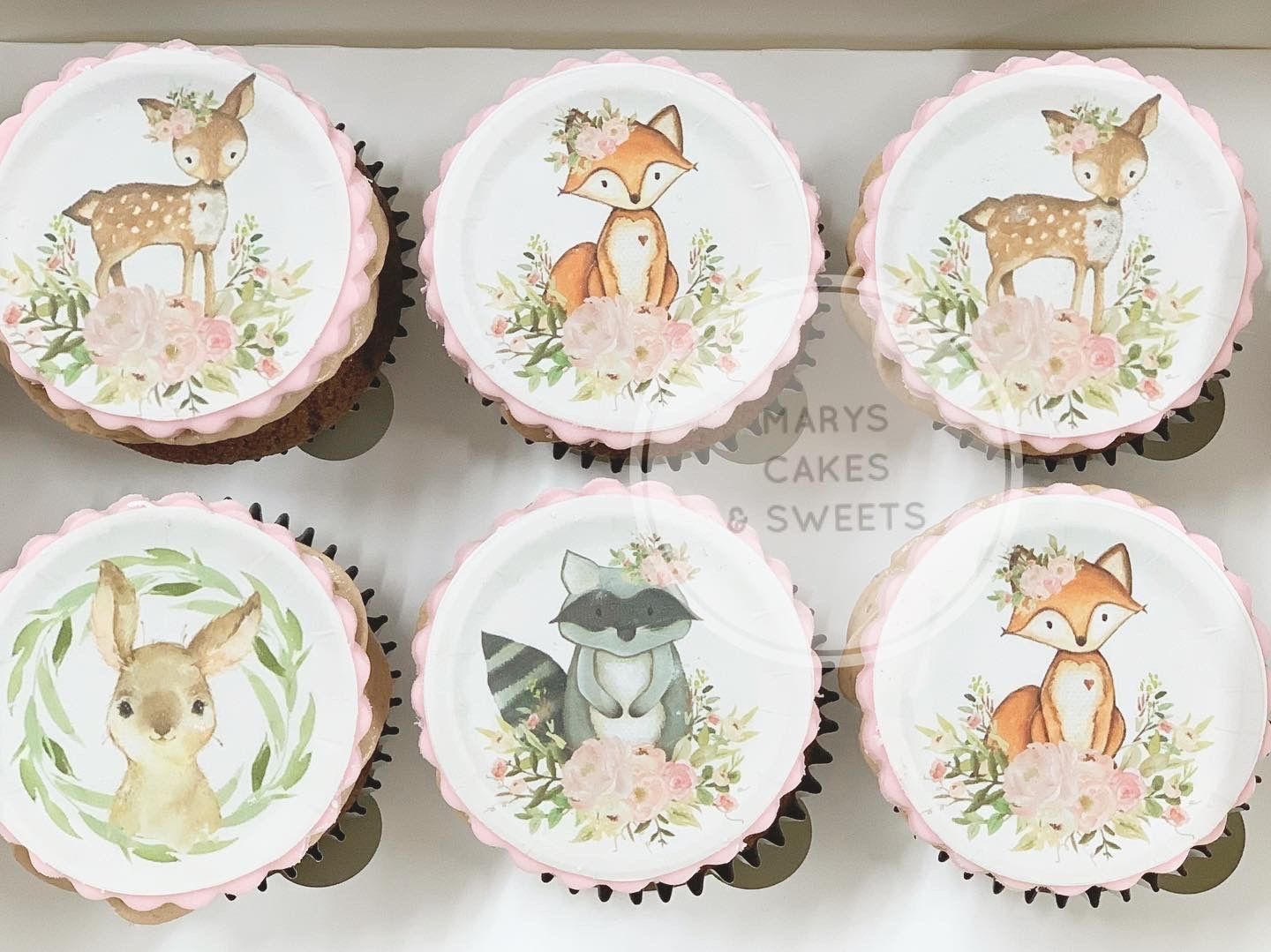 Kids Cupcake Kurs 29.10.2025 (14:00-16:30 uhr)