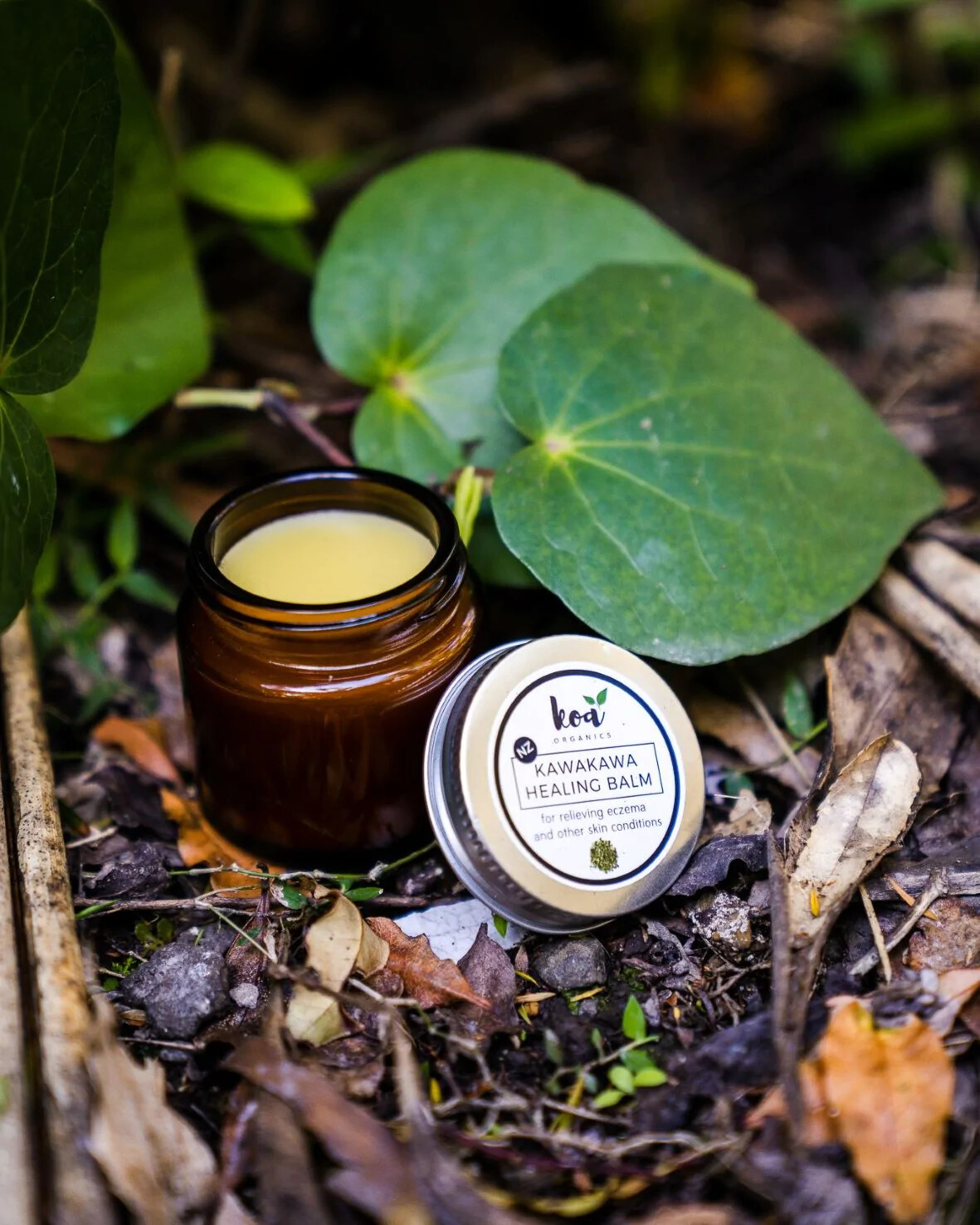 Kawakawa Healing Balm 65g by Koa Organics