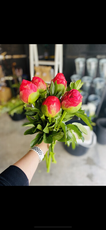 Bunch of Peonies