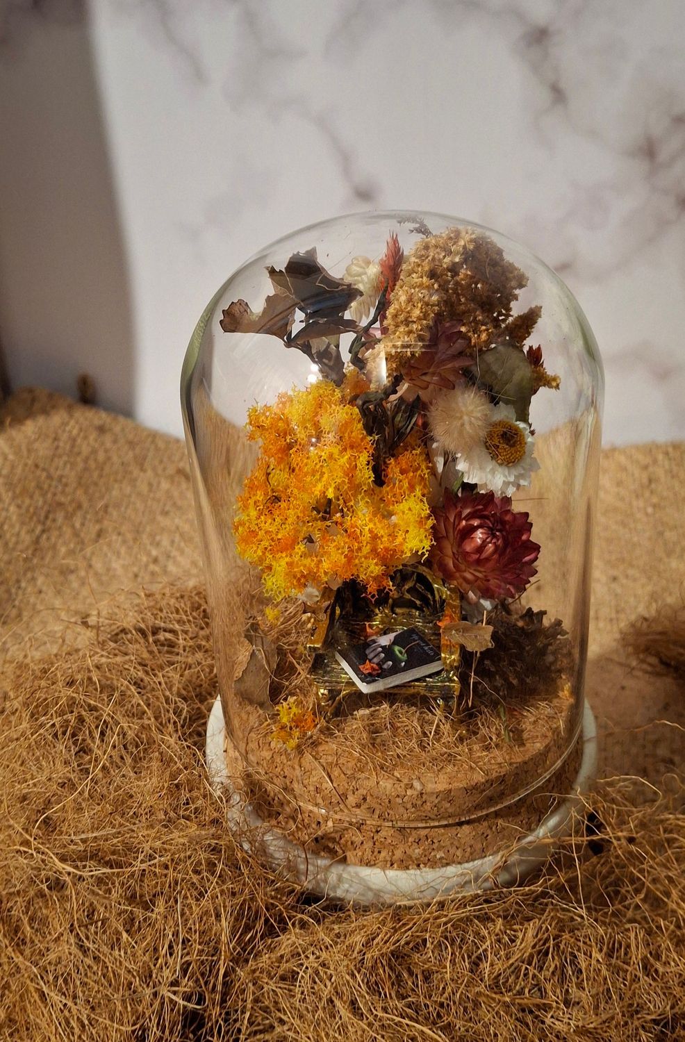 Book lovers Glass Dome