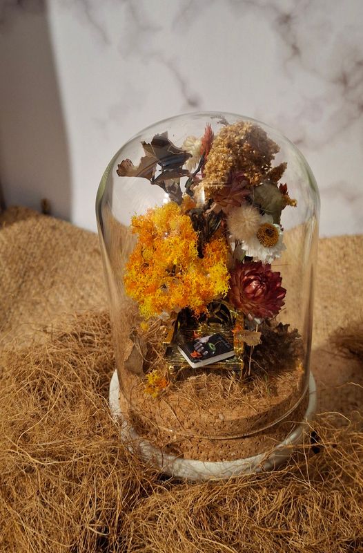 Book lovers Glass Dome