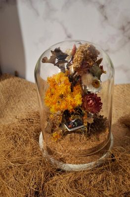 Book lovers Glass Dome