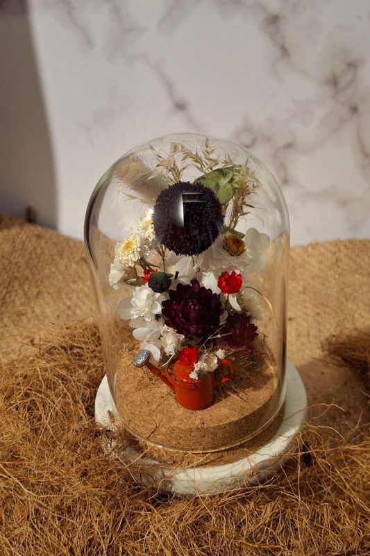 Red Watering Can