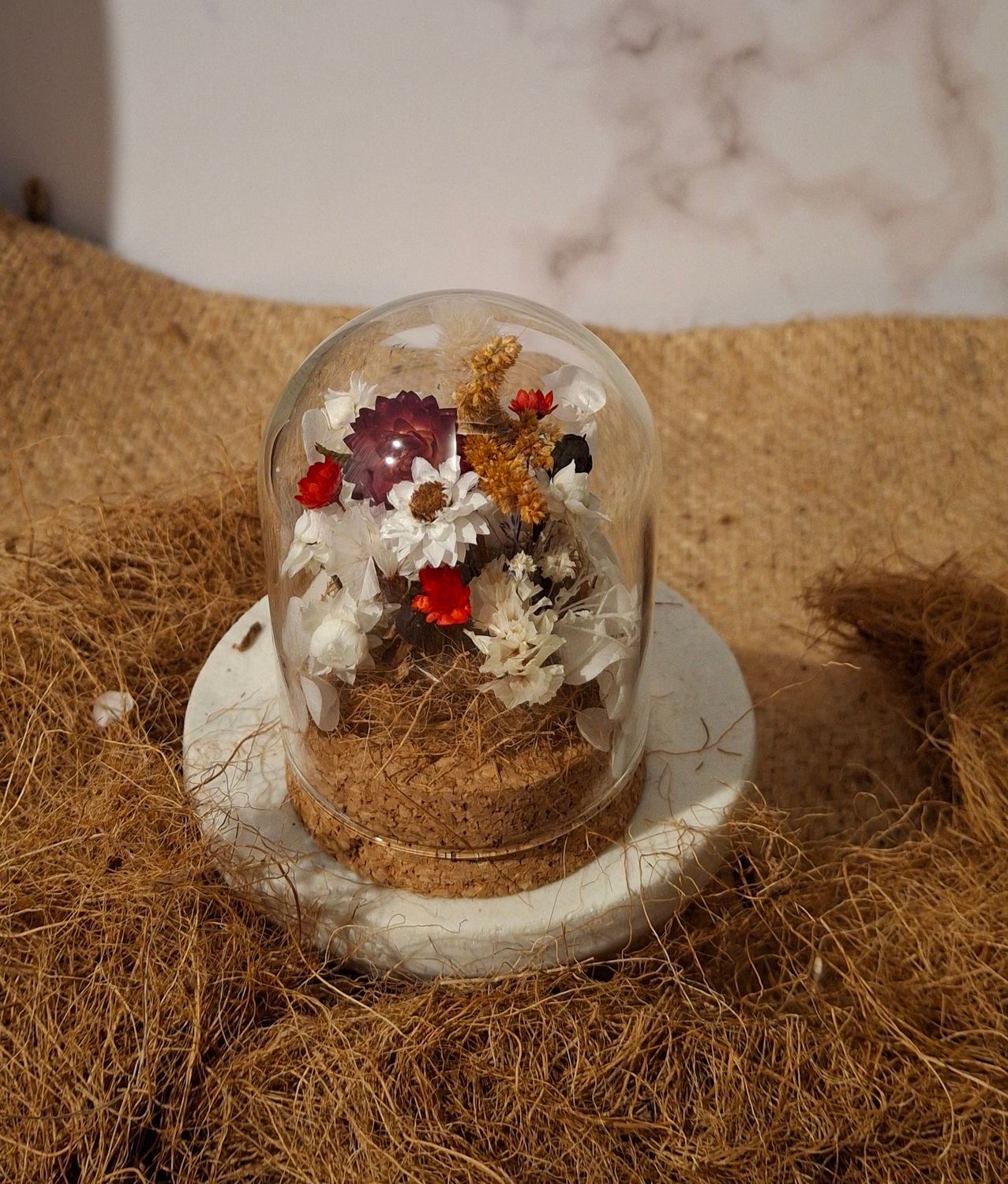 Small Red & White Dome