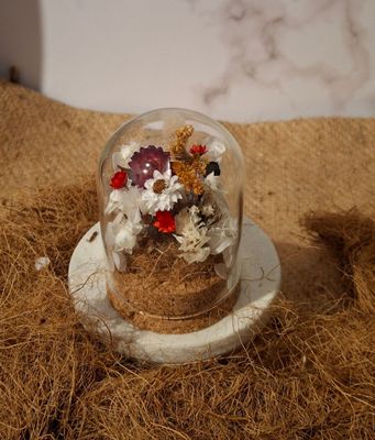 Small Red & White Dome