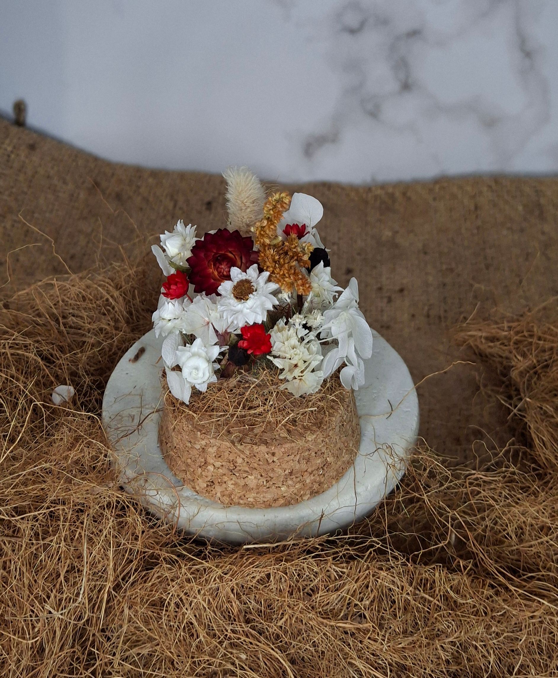 Small Red & White Dome