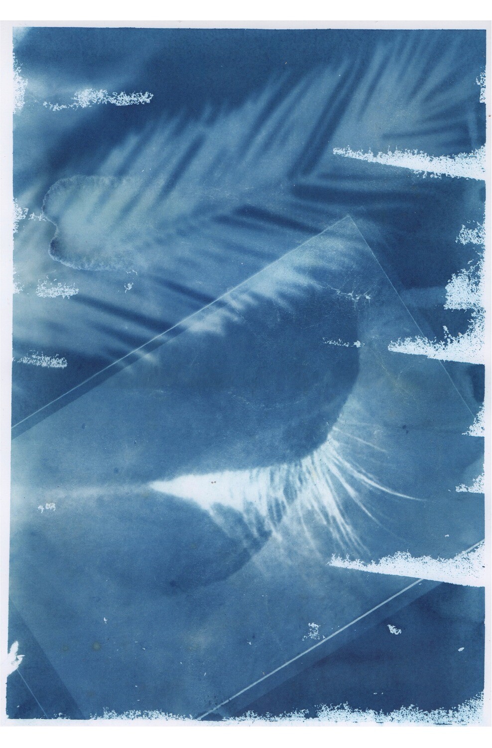 Barbara Portailler | Cyanotype édition 1/20