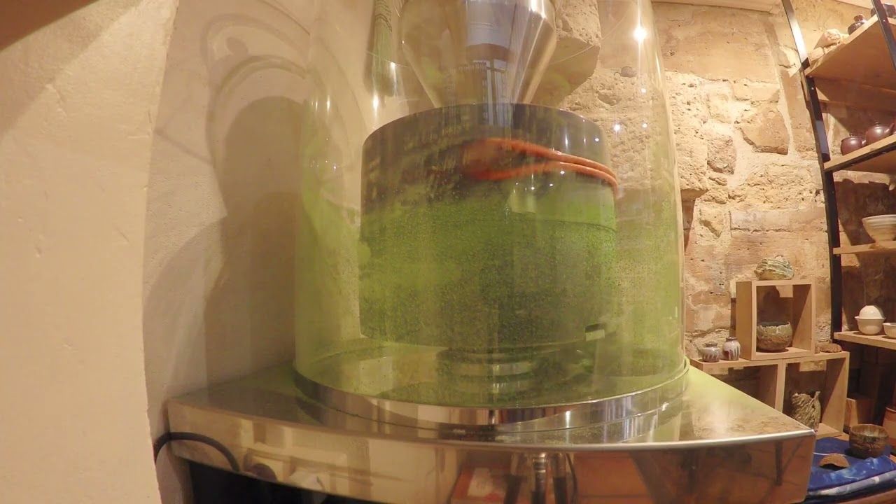 Kanaya Midori Matcha [Thé vert BIO du Japon en poudre, paquet de 25g] Première Récolte ***Ichibancha 2025*** ***Très rare & faibles quantités***