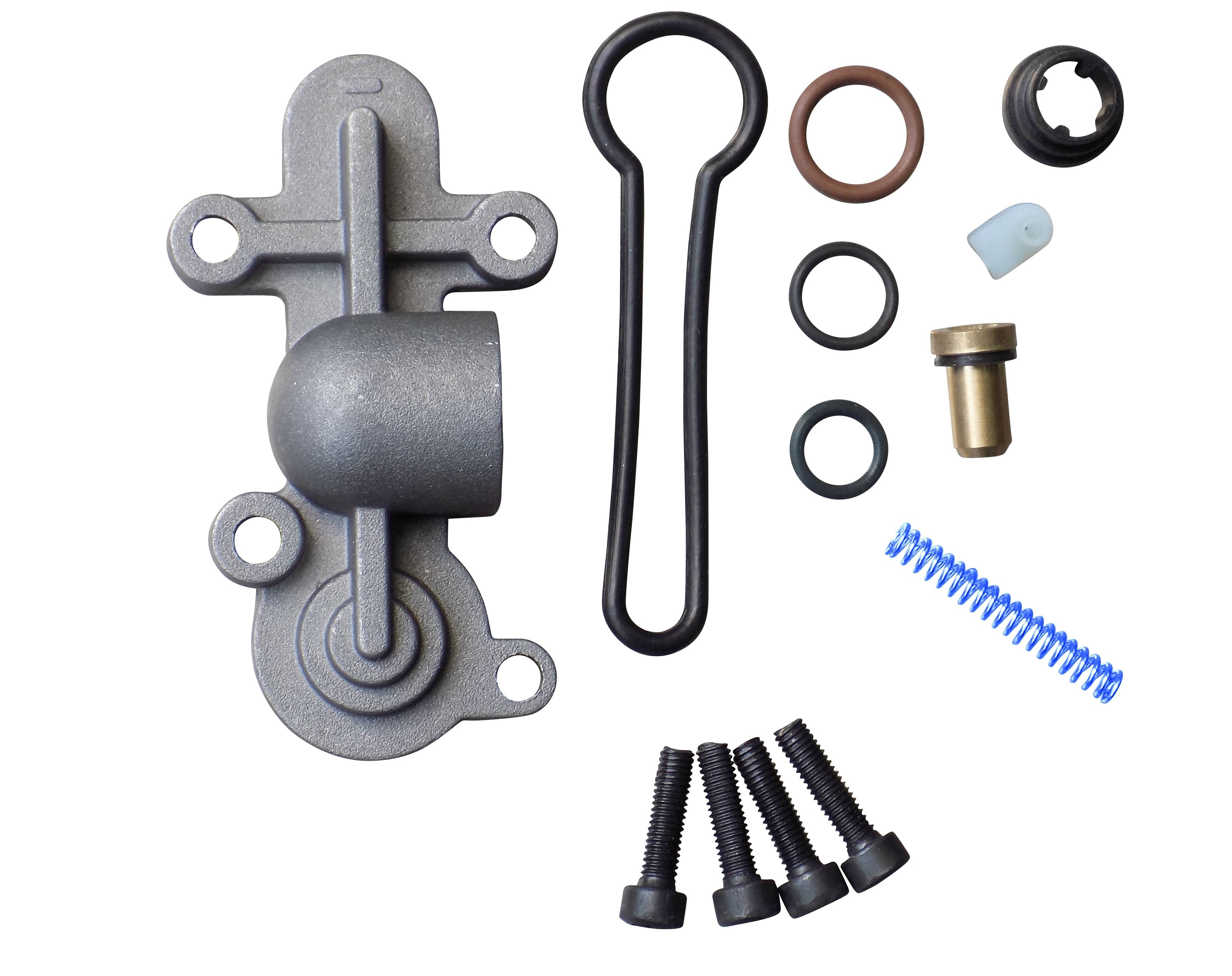 Upgraded fuel pressure regulator blue spring kit for 6 0l ford
