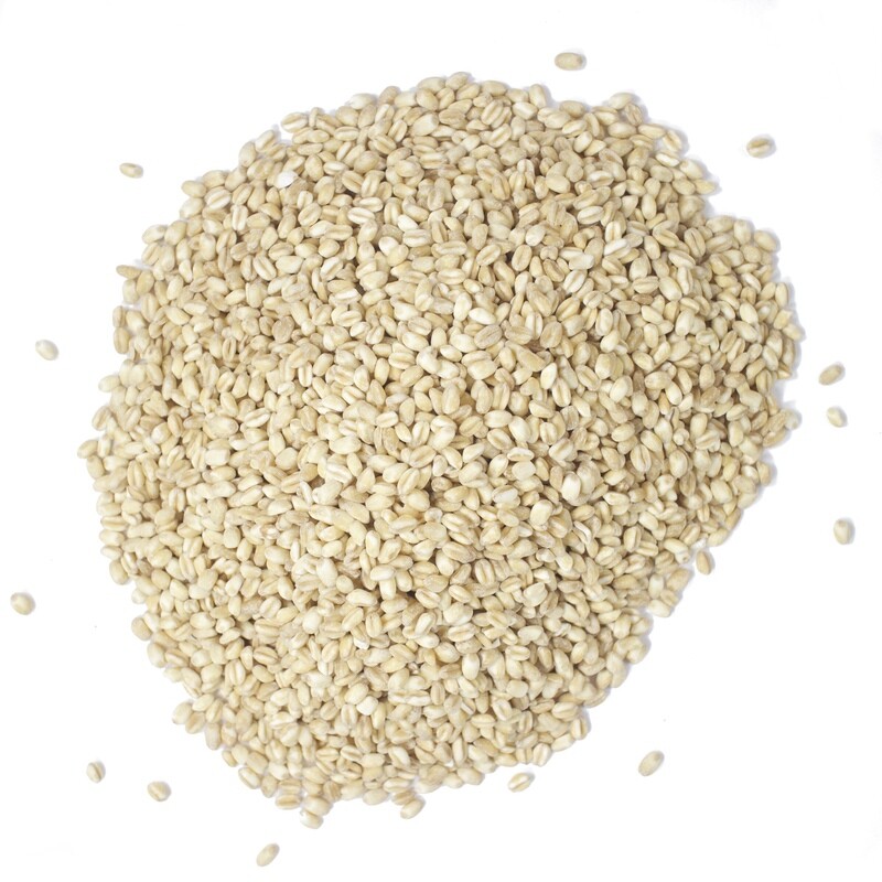 Orzo perlato
