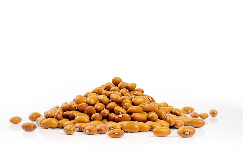 Fagioli brown