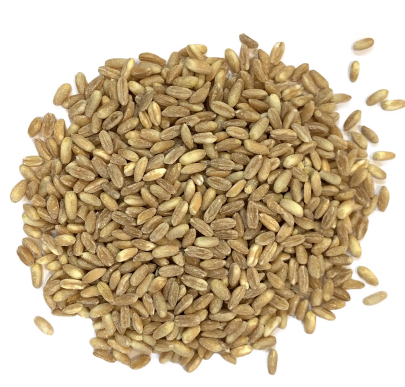 Farro perlato