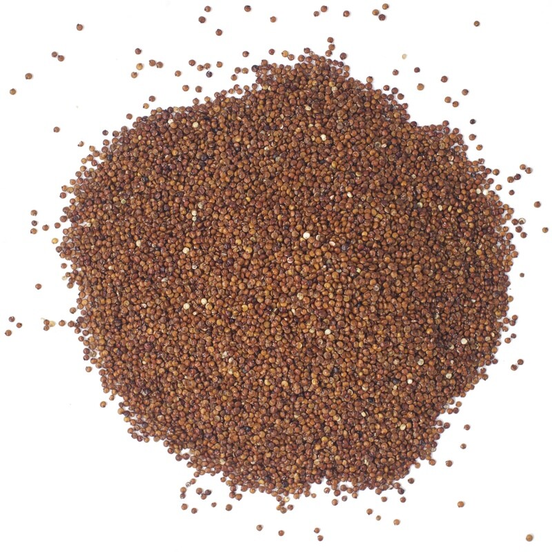 Quinoa rossa