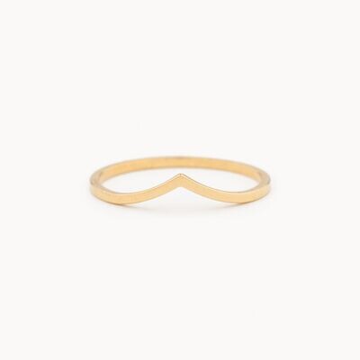 Anillo Fino V