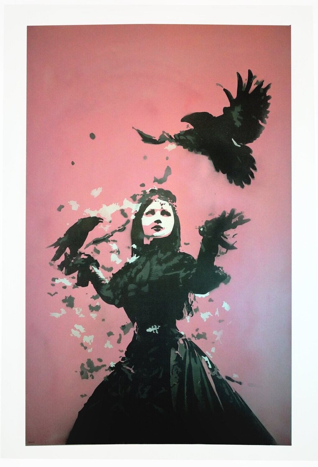 The Lady and the Raven