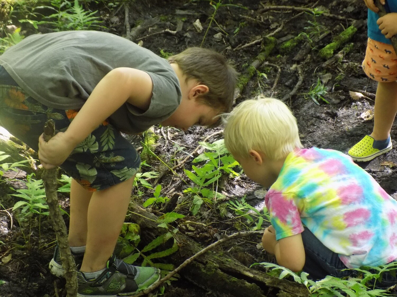 Eco-Explorers - The World Beneath Your Feet - Entering 1st-3rd grade (June 27-30)