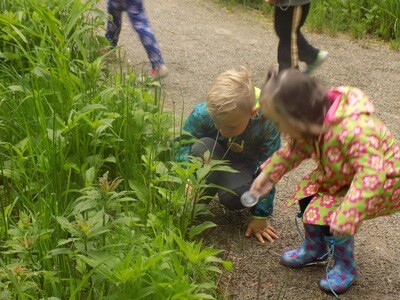 Eco-Explorers - Look, Sniff, Touch, & Listen - Ages 3-Entering K (June 6-8)