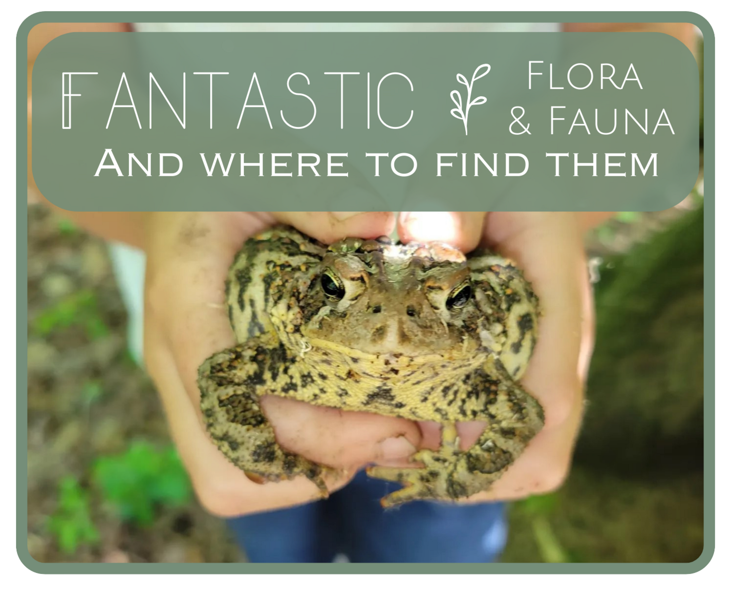 Fantastic Flora & Fauna and Where to Find Them: Session #1 March 26-28 (9 a.m.-11 a.m.) 1st-3rd Grade