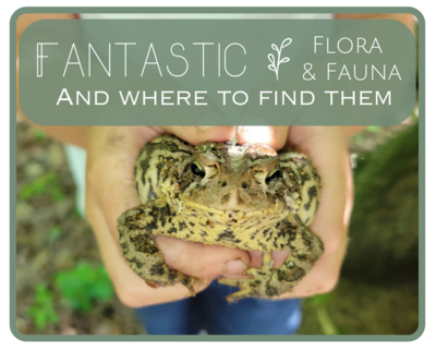 Fantastic Flora & Fauna and Where to Find Them: Session #2 March 26-28 (1 p.m.-3 p.m.) 4th-6th Grade