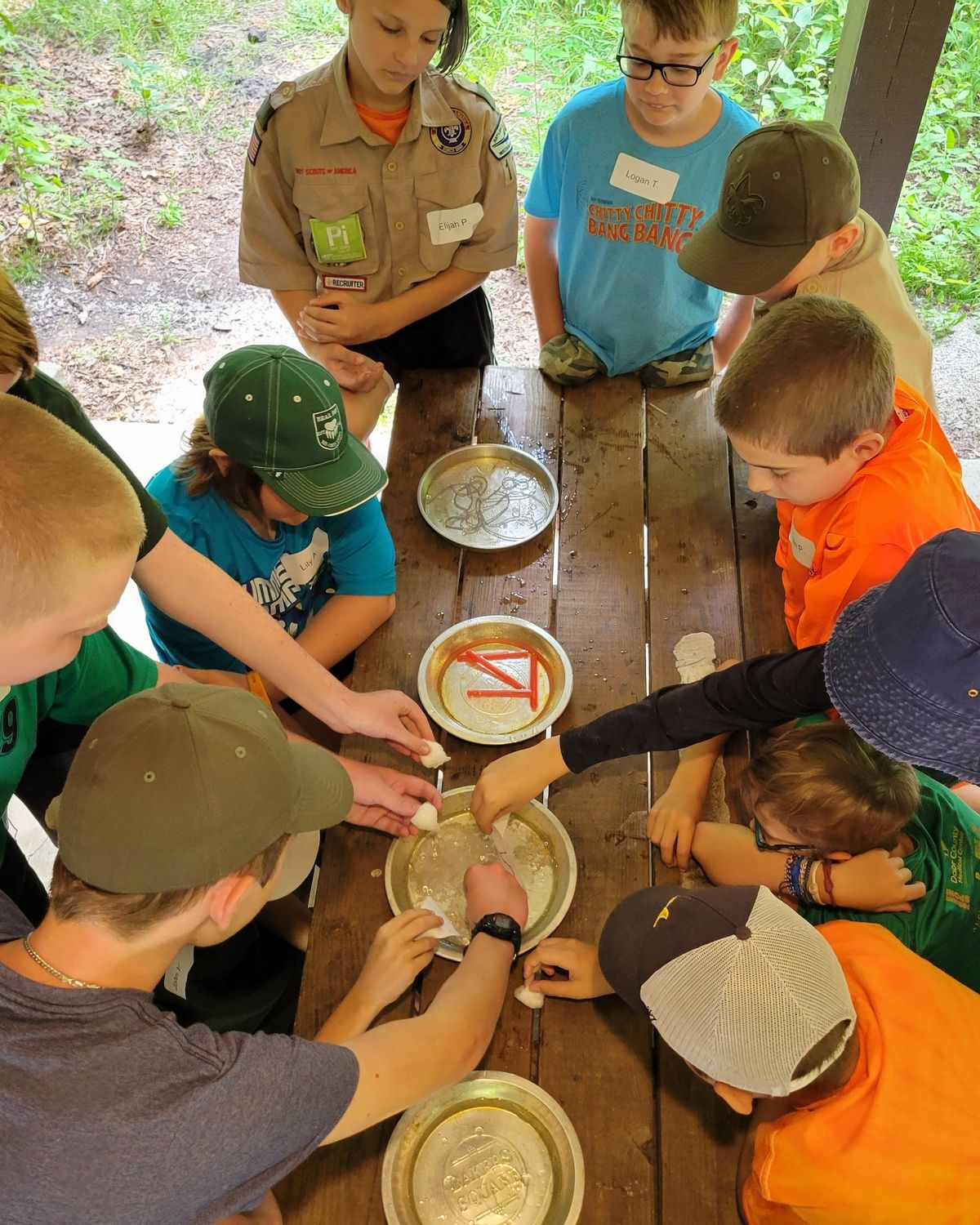 Scout Environmental Science Merit Badge Clinic