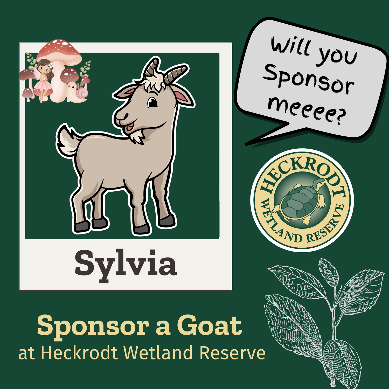 Goat Sponsorship- Sylvia