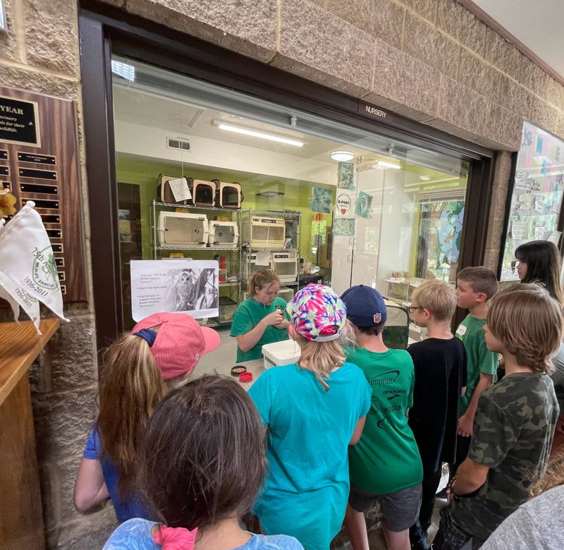 Eco-Explorers - Wildlife Rescue - 4th-6th grade (August 11-13)