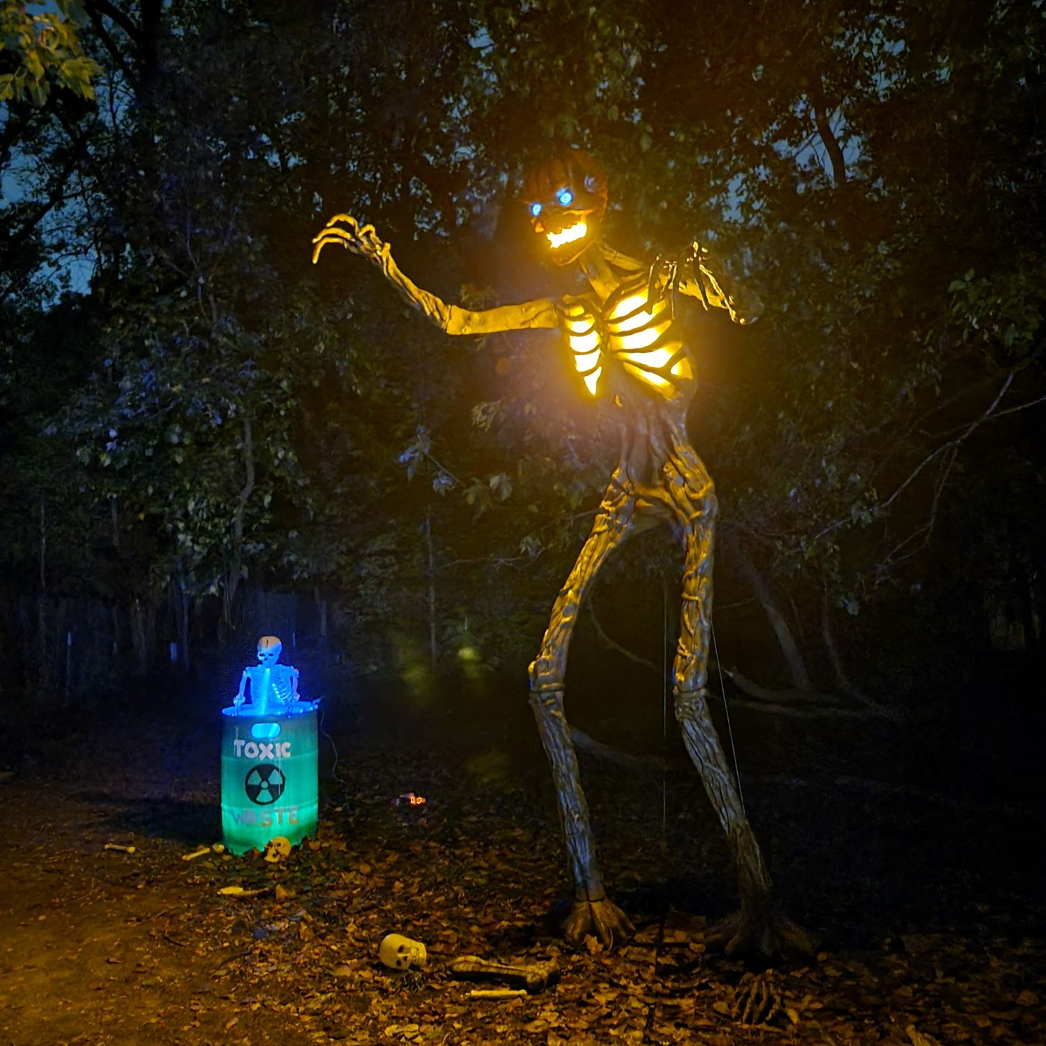 Creepy Crawlies Thursday (Oct. 1) Session 3 (8:00-9:00 p.m.)