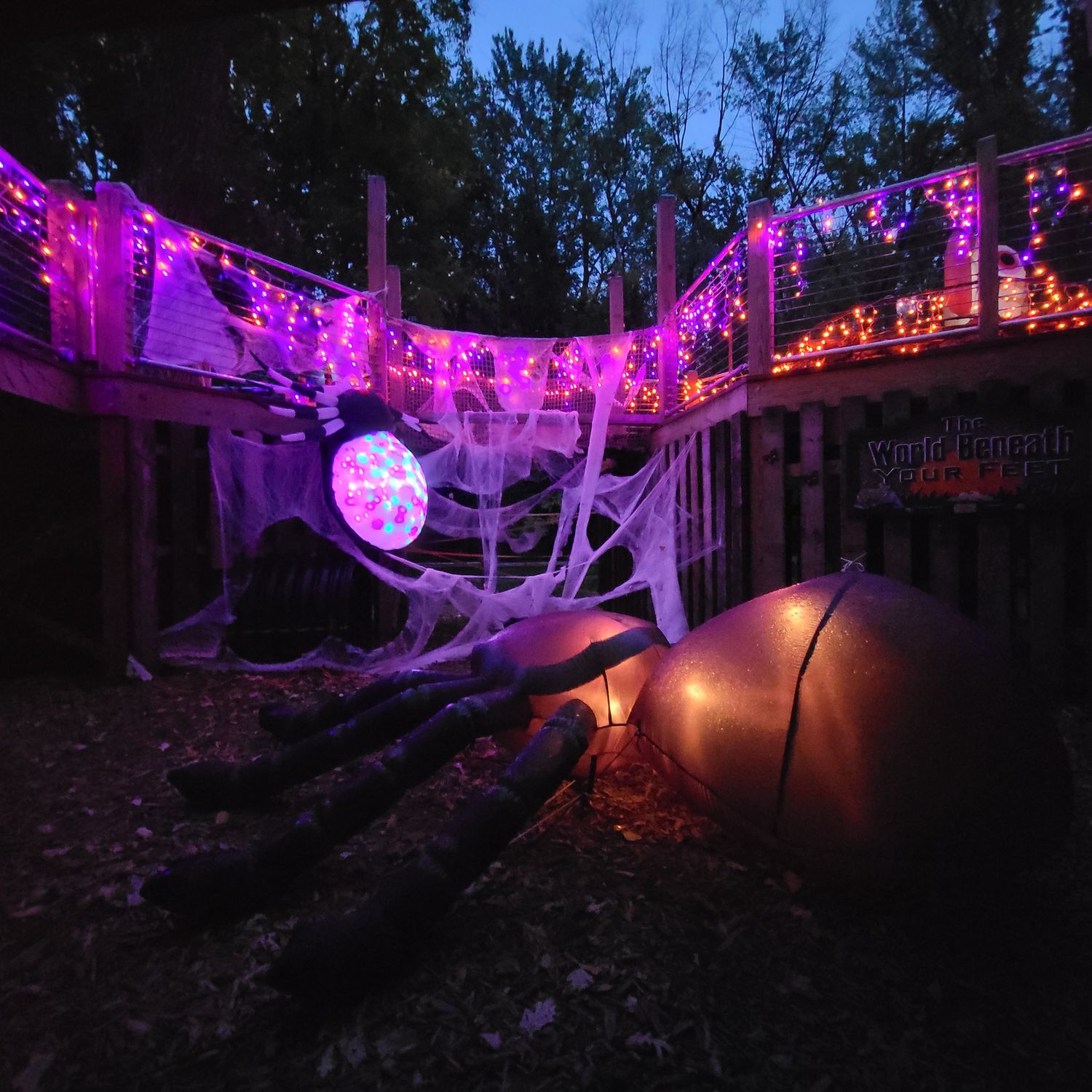 Creepy Crawlies Friday Night (October 2) Session 1 (6:00-7:00 p.m.)