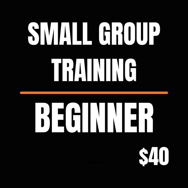Beginner Group Session