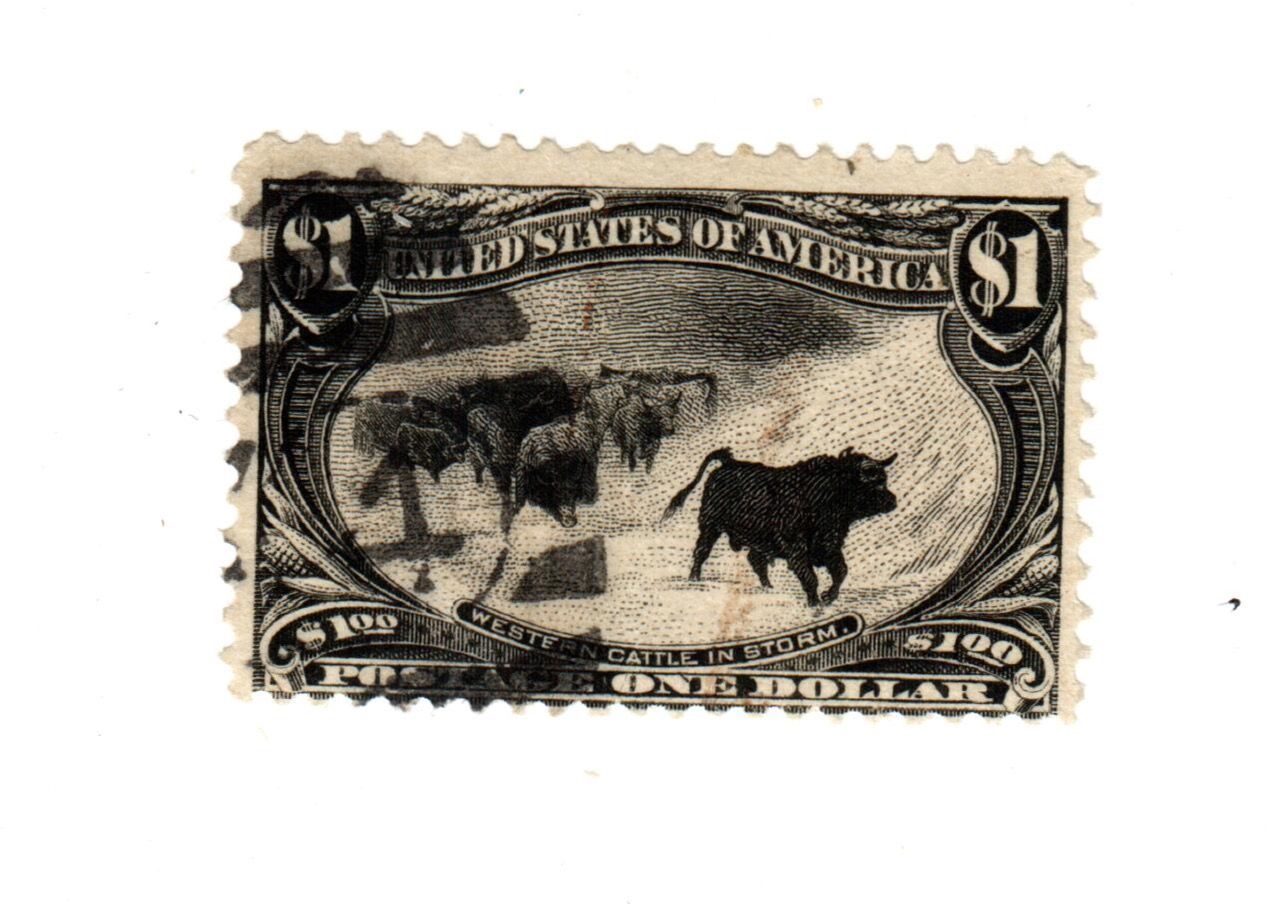 1 DOLLAR TRANSMISSIPI