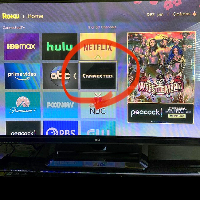 Make a Grand Debut on TV!