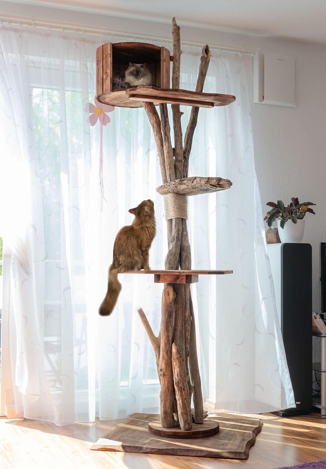 Handgemachte Echtholz-Katzenmöbel - individuell, exclusiv, nachhaltig. Echtholz Katzenkratzbaum. Der Tom Cat High Tower.